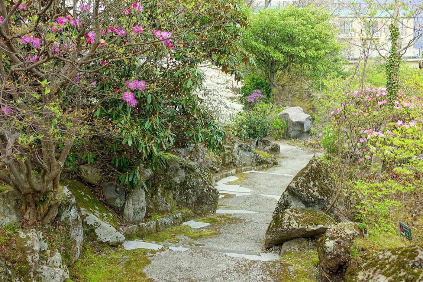 Hakone Gōra Park — free with the pass